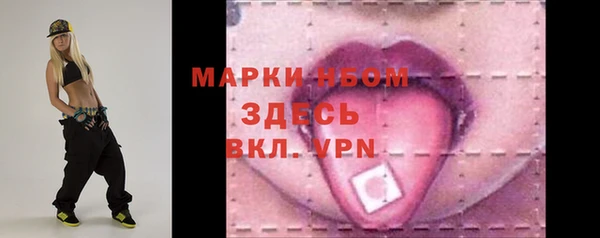 прущий лед Вяземский