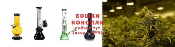 ECSTASY Новозыбков