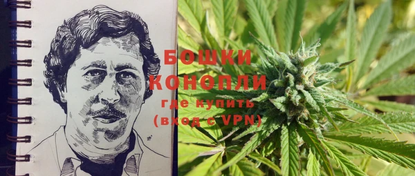 ECSTASY Новозыбков
