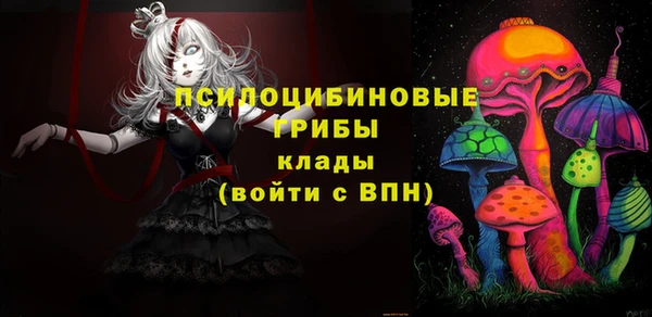 ECSTASY Новозыбков