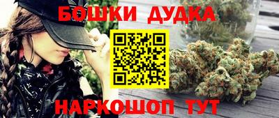 шишки Аргун