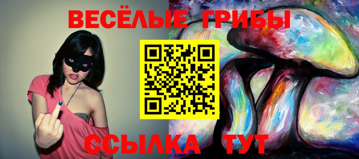 Галлюциногенные грибы мухоморы  Вход с VPN  Ачинск 