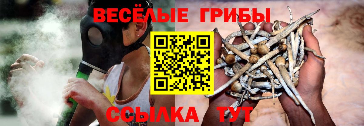 Галлюциногенные грибы прущие грибы Ачинск