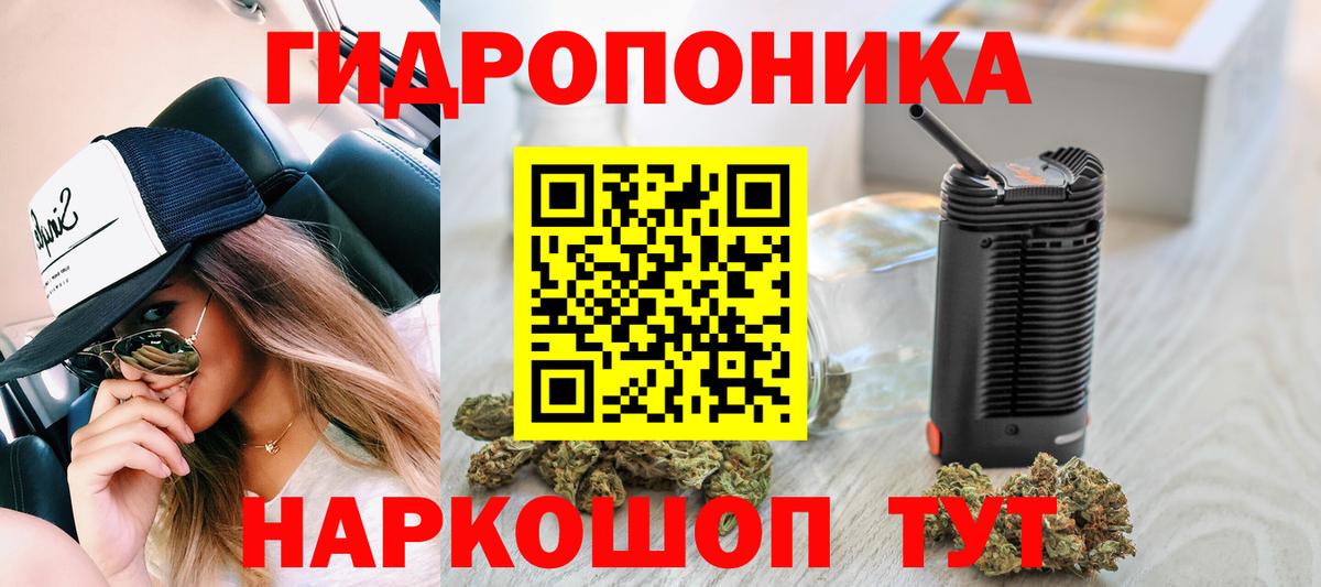 Ачинск  Шишки марихуана Bruce Banner  Бошки Шишки план  Вход с VPN  Шишки марихуана THC 21% 